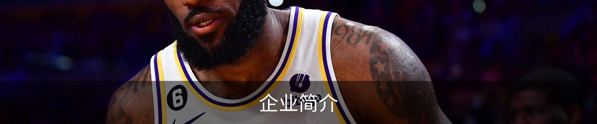 企业简介